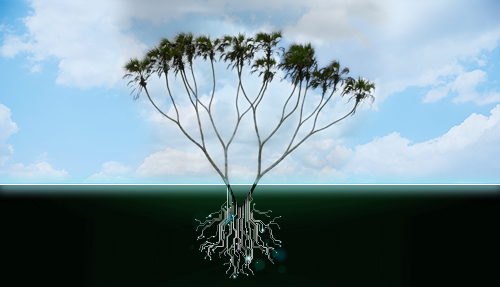 מבני נתונים מבני נתונים – התשתית לאלגוריתמים יעילים