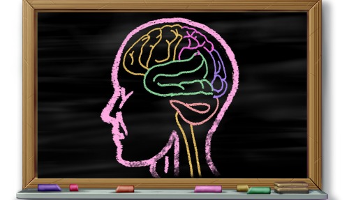 פסיכולוגיה בקטנה: מוח ופסיכולוגיה פסיכולוגיה בקטנה: מוח ופסיכולוגיה