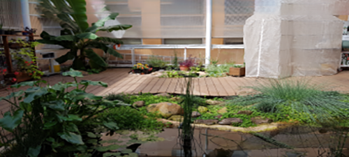 ביופיליה: הכרת הטבע והסביבה ביופיליה: הכרת הטבע והסביבה